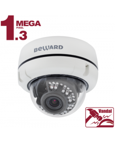 B1510DV. Видеокамера IP купольная. Beward в Новосибирске