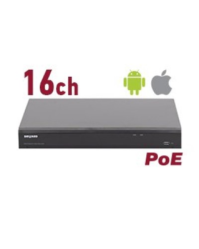 RK2216-P. Видеорегистратор IP 16-канальный. Beward в Новосибирске