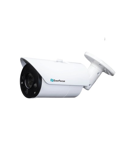 EZN-268V. Видеокамера IP купольная. EverFocus в Новосибирске
