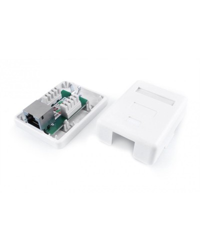 SB1-1-8P8C-C6-SH-WH. Розетка RJ-45. Hyperline в Новосибирске