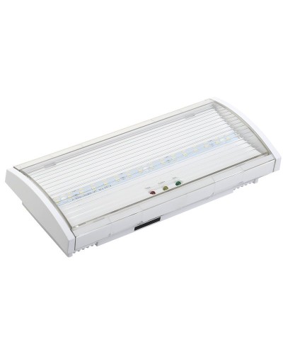 Светильник аварийный ДПА 5040-3 3ч IP54 LIGHTING (LDPA0-5040-3H-K01). Светильник аварийный постоянного действия. IEK в Новосибирске