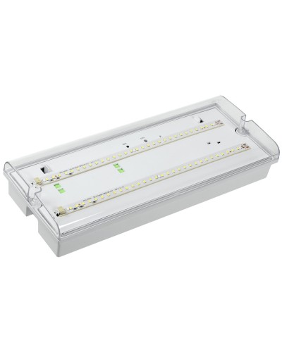 Светильник аварийный ДПА 5042-1 1ч IP65 LIGHTING (LDPA0-5042-1-65-K01). Светильник аварийный универсальный. IEK в Новосибирске