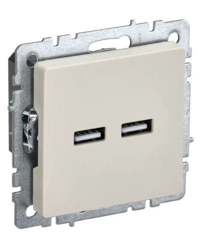 Розетка USB A+A 3,1А РЮ10-1-БрКр бежевый BRITE (BR-U21-D31-K10). Розетка USB. IEK в Новосибирске