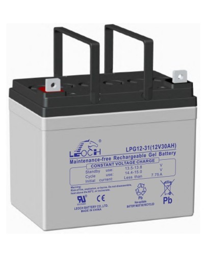 LEOCH LPG 12-31. Аккумулятор герметичный свинцово-кислотный. LEOCH в Новосибирске