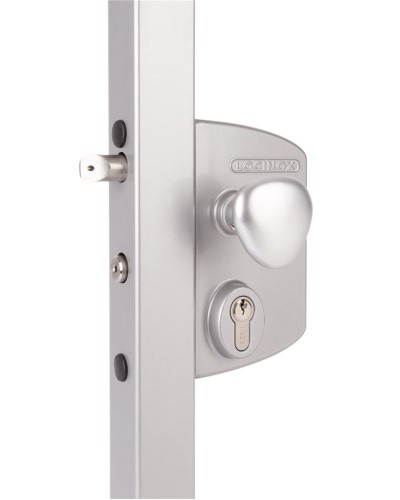 LIKQ4040 U2L (цвет: RAL 9005, черный). Замок электромеханический для калиток. Locinox в Новосибирске