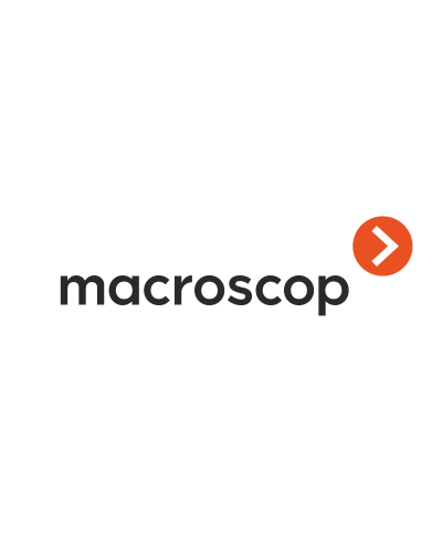 Расширение с LS до ST. Программное обеспечение (опция). MACROSCOP в Новосибирске
