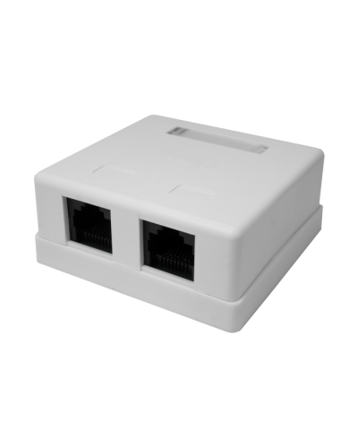Розетка настенная RJ-45, 8P8C, Cat.5e, 2 порта UTP (10-0309): Компьютерная розетка в Новосибирске