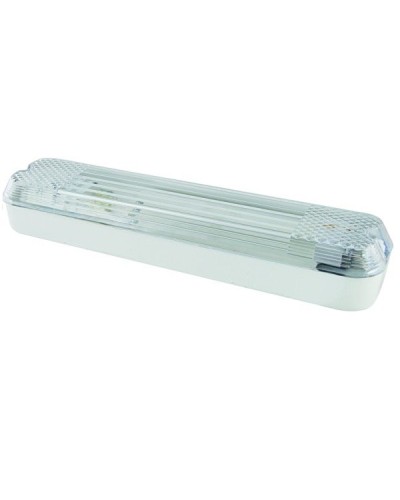 ДПБ 01-2х6-001 12 Вт, LED, 1000 лм, 4000 К, IP40. Светильник вандалоустойчивый . TDM ЕLECTRIC в Новосибирске