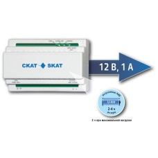 SKAT-12DC-1.0 Li-ion (СКАТ ИБП-12/1-3,2/Li-DIN) (595). Источник вторичного электропитания резервированный. Бастион