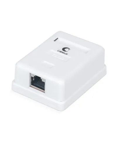 WS-8P8C-Cat.5e-SH-1 (7485c): Розетка RJ-45 в Новосибирске