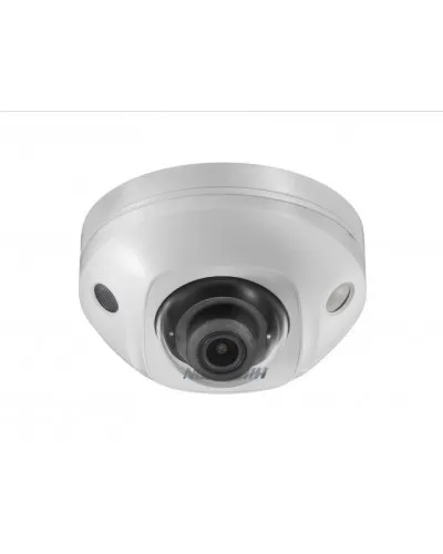 DS-2CD2543G2-IS(2.8мм). Профессиональная видеокамера IP купольная. Hikvision в Новосибирске