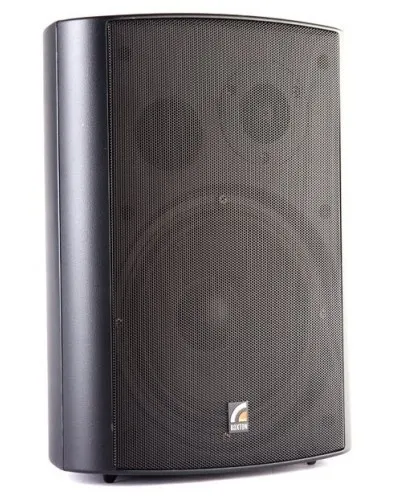 MS-40TB (ROXTON). Звуковая настенная колонка. ROXTON в Новосибирске