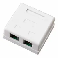 Розетка комбинированная внешняя, UTP RJ-45(8P8C) + RJ-11(6P-4C) REXANT (03-0120): Розетка RJ-45