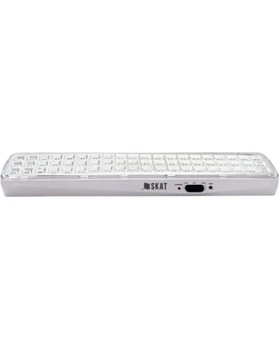 SKAT LT-602400 LED Li-ion (2459). Светильник аварийного освещения. Бастион в Новосибирске