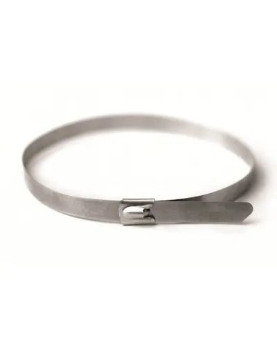 Хомут из нержавеющей стали AISI 316 4,6х300 (50 шт) (27606): Хомут из нержавеющей стали в Новосибирске