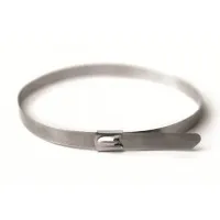 Хомут из нержавеющей стали AISI 304 4,6х350 (30 шт) (27407): Хомут из нержавеющей стали