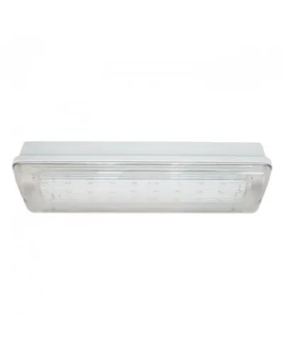 SL-223-30LED1.8 исп. 1, IP65. Светильник аварийного освещения. ИП Раченков А.В. в Новосибирске